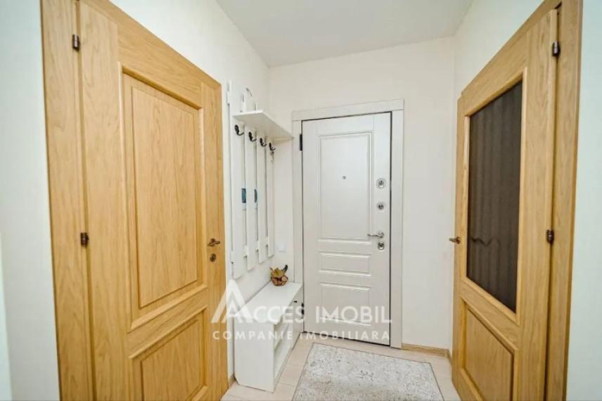Milanin! Bloc Nou! Centru, str. Zamfir Arbore, 2 camere.: 5
