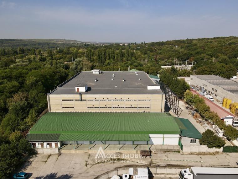 Commercial Space! Râșcani, Petricani Street, 10000 m²!: 10