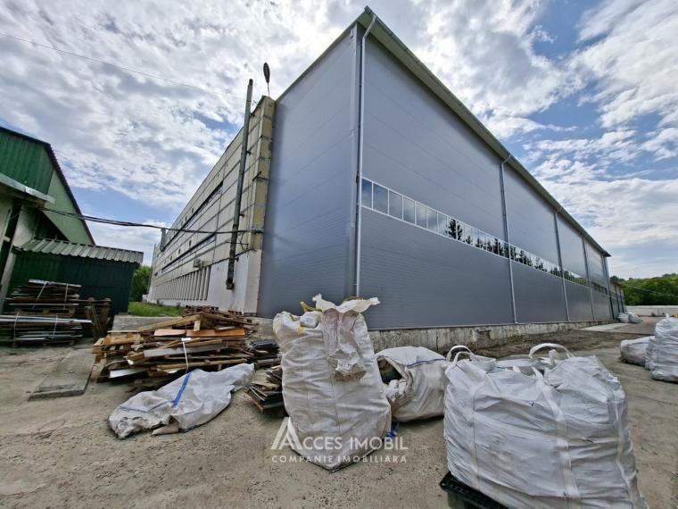 Commercial Space! Râșcani, Petricani Street, 10000 m²!: 3