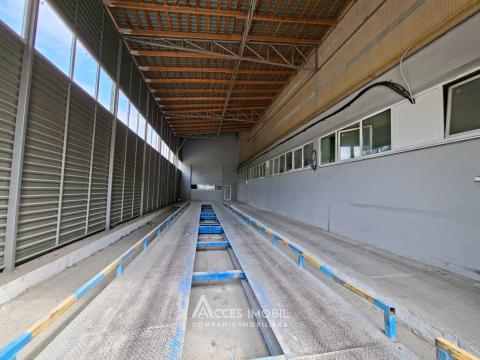 Commercial Space! Râșcani, Petricani Street, 10000 m²!: 1