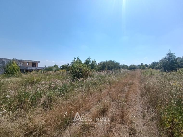 Сельскохозяйственный участок 6 соток, Дурлешты, пер. Кодрилор!: 1