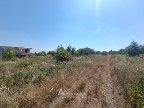 Сельскохозяйственный участок 6 соток, Дурлешты, пер. Кодрилор!: 1