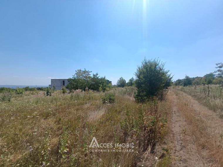 Сельскохозяйственный участок 6 соток, Дурлешты, пер. Кодрилор!: 3