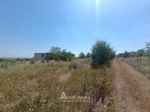 Сельскохозяйственный участок 6 соток, Дурлешты, пер. Кодрилор!: 3