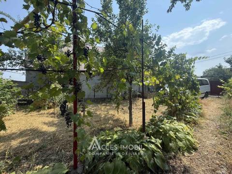 Casă! Cricova, str. Mitropolit Dosoftei, 3 camere + living, 130m² + 6 ari.: 10