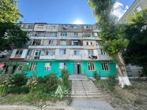: Botanica, Salcâmilor street
