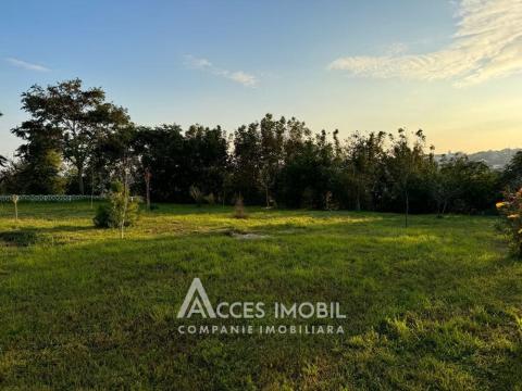 Casă în 3 nivele! Telecentru, str. Mărțișor, 520m2 + 6 ari! Euroreparație!: 50