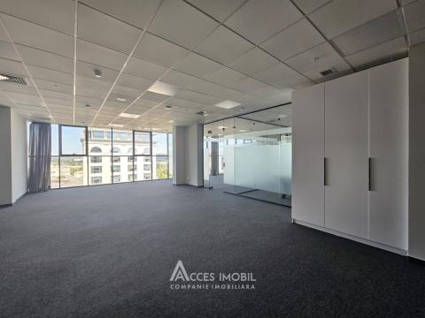 Chirie! Spațiu comercial! Bloc Nou! Centru, str. Mihai Viteazul, 242 m². Reparație Premium!: 5