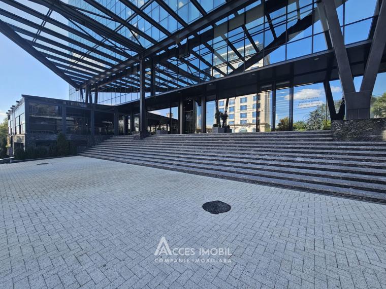 Chirie! Spațiu comercial. Centru, str. Mihai Viteazul, 231m². Reparație premium! Încălzire centralizată!: 13