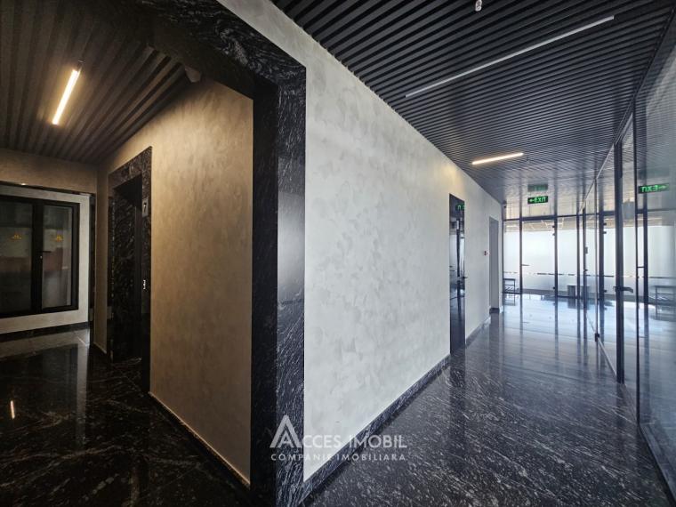 Chirie! Spațiu comercial. Centru, str. Mihai Viteazul, 231m². Reparație premium! Încălzire centralizată!: 11