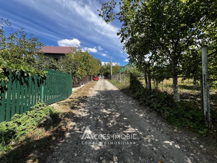 Teren pomicol 18 ari, Suruceni, str. IP Struguraș!: 1