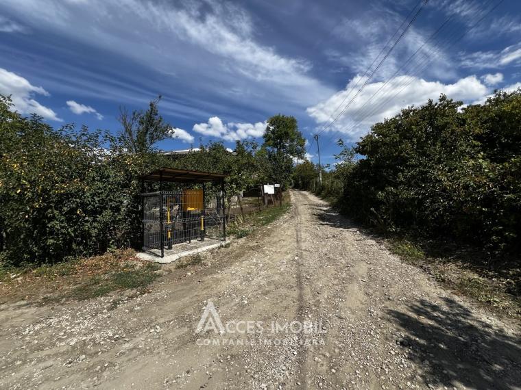 Teren pomicol 18 ari, Suruceni, str. IP Struguraș!: 2