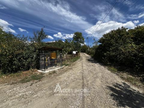 Teren pomicol 18 ari, Suruceni, str. IP Struguraș!: 2