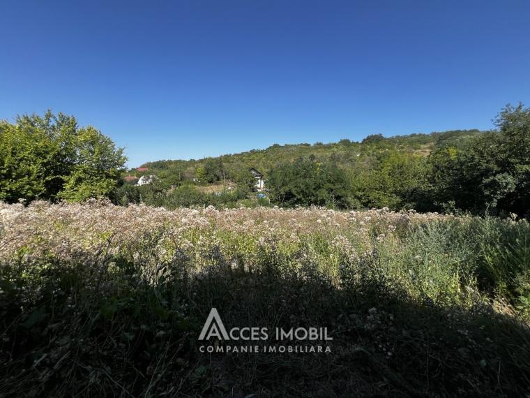 Casă! Mileştii Mici, str. Zoica, 3 camere + living, 55 m² + 22 ari!: 15