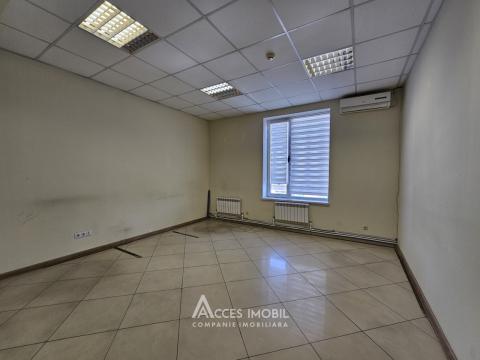 : Centru, str. Albisoara