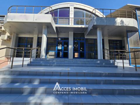 Chirie spații comerciale în Chișinău: Centru, str. Albisoara