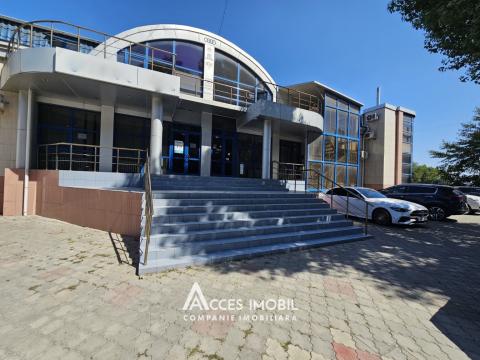 Chirie spații comerciale în Chișinău: Centru, str. Albisoara