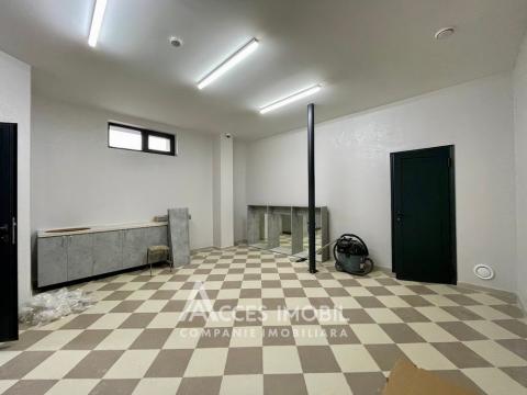 Chirie! Spațiu pentru servicii auto, 600 m2! Poșta Veche, str. Doina!: 3