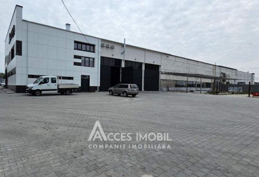 Chirie! Spațiu pentru servicii auto, 600 m2! Poșta Veche, str. Doina!: 15