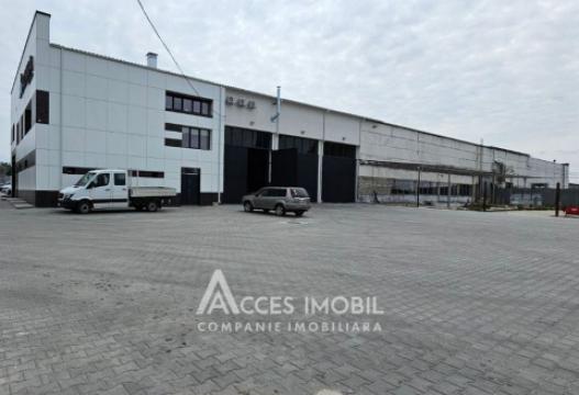 Chirie! Spațiu pentru servicii auto, 600 m2! Poșta Veche, str. Doina!: 15