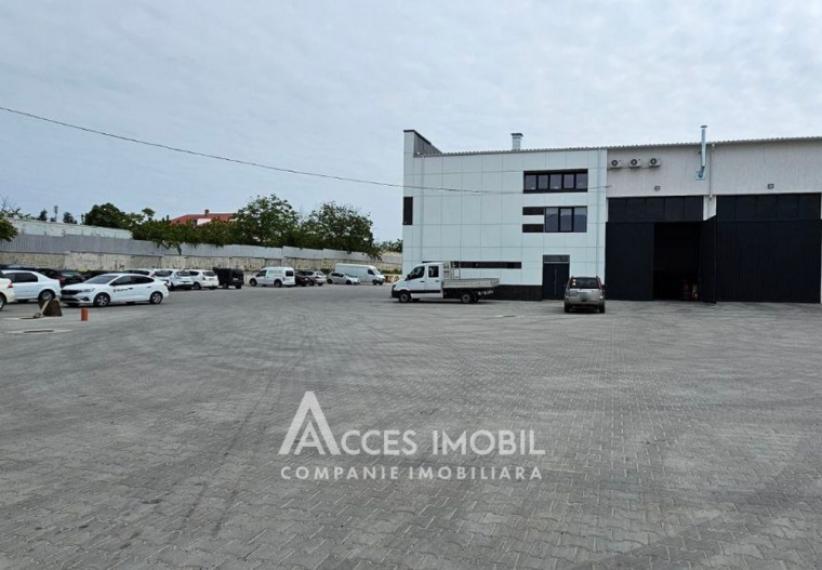 Chirie! Spațiu pentru servicii auto, 600 m2! Poșta Veche, str. Doina!: 14