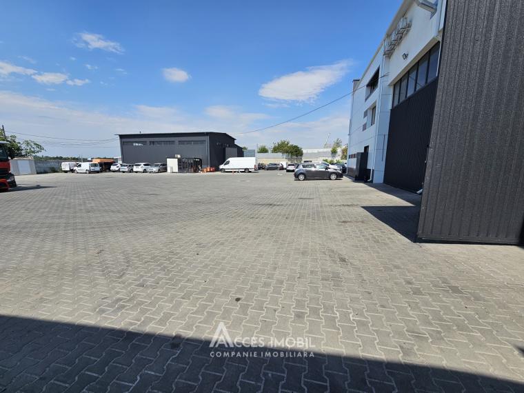 Chirie! Spațiu pentru servicii auto, 600 m2! Poșta Veche, str. Doina!: 11