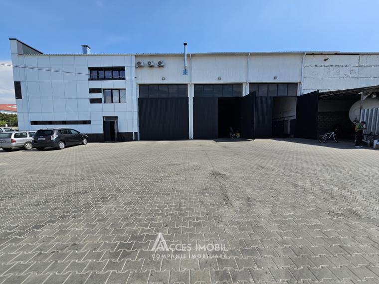 Chirie! Spațiu pentru servicii auto, 600 m2! Poșta Veche, str. Doina!: 12