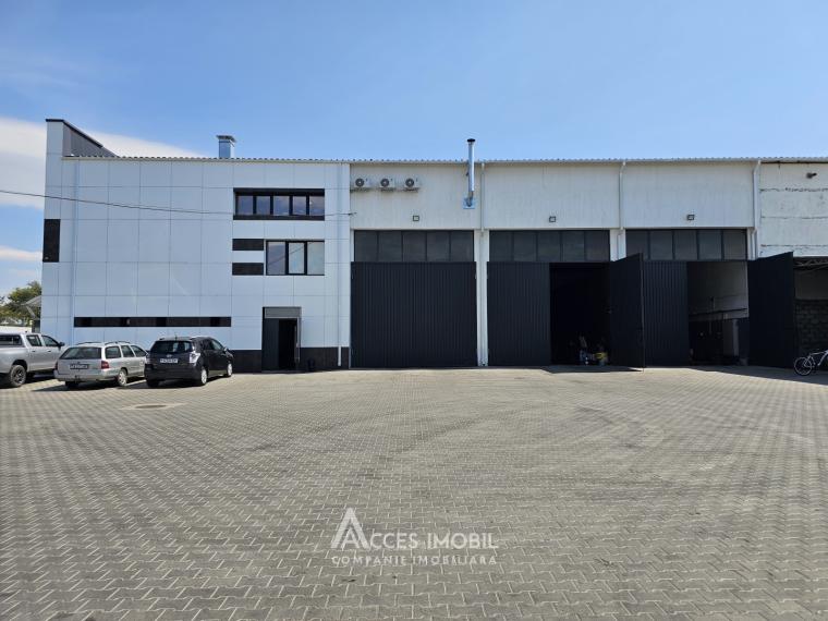 Chirie! Spațiu pentru servicii auto, 600 m2! Poșta Veche, str. Doina!: 13