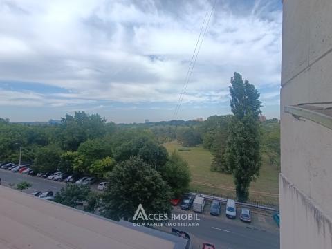 Buiucani, str. Eugen Coca, 1 cameră!: 8