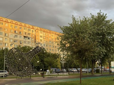 Ciocana, bd. Mircea cel Bătrân, 2 camere + living. Euroreparație! Seria MS! De mijloc! Priveliște!: 16