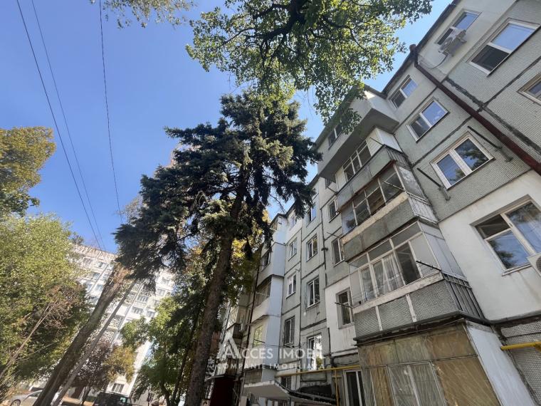Telecentru, str. Drumul Schinoasei, 2 camere.: 8
