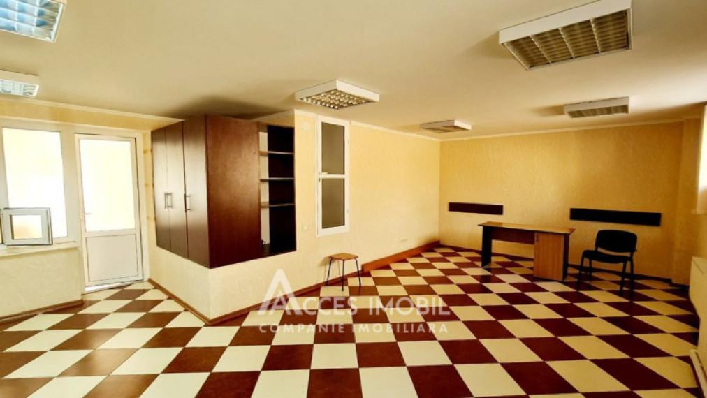 For Rent! Commercial Space, 350m2, Toma Ciorba street, Center! Euro Repair!: 5