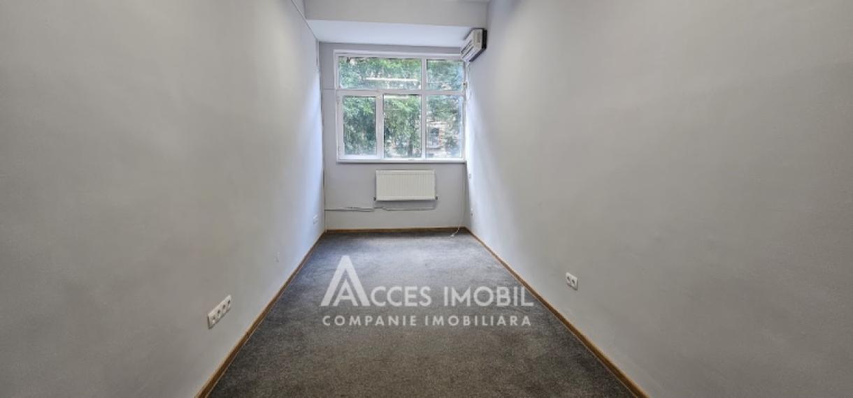 Chirie! Ultracentru! Spațiu pentru oficii 163m2! Centru, bd. Ștefan cel Mare. Euroreparație!: 9
