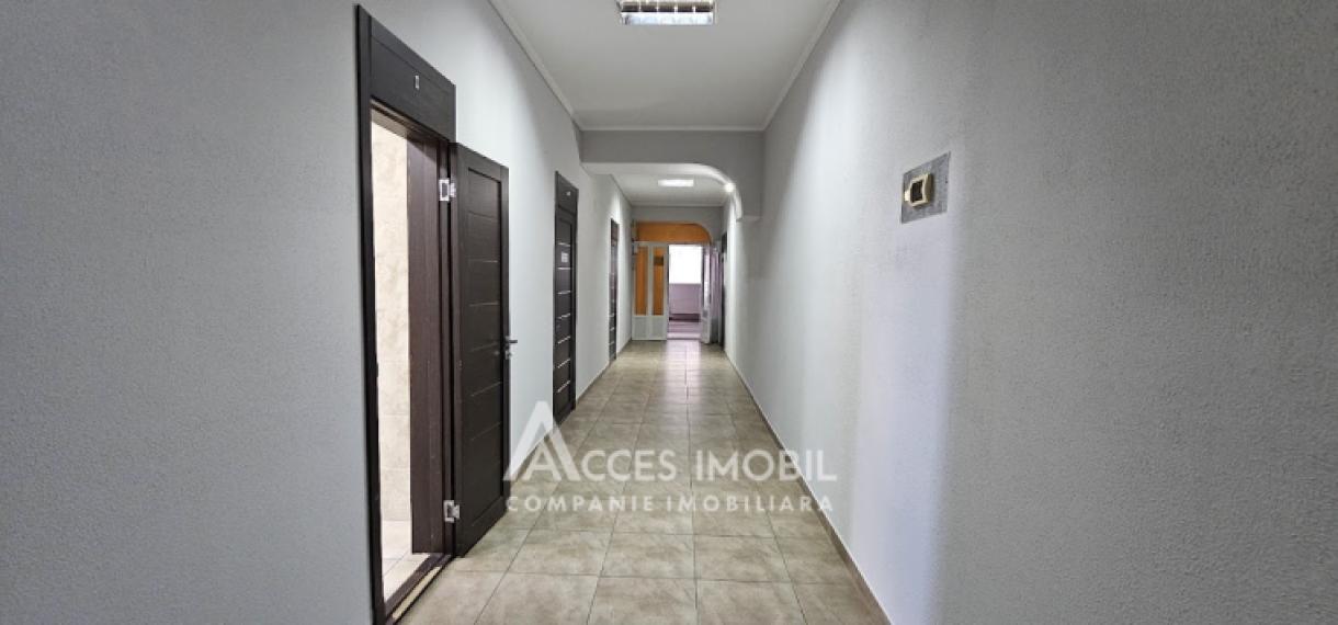 Chirie! Ultracentru! Spațiu pentru oficii 163m2! Centru, bd. Ștefan cel Mare. Euroreparație!: 10