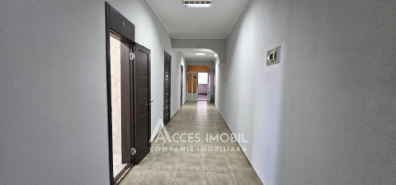 Chirie! Ultracentru! Spațiu pentru oficii 163m2! Centru, bd. Ștefan cel Mare. Euroreparație!: 10