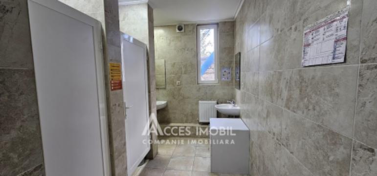 Chirie! Ultracentru! Spațiu pentru oficii 163m2! Centru, bd. Ștefan cel Mare. Euroreparație!: 11