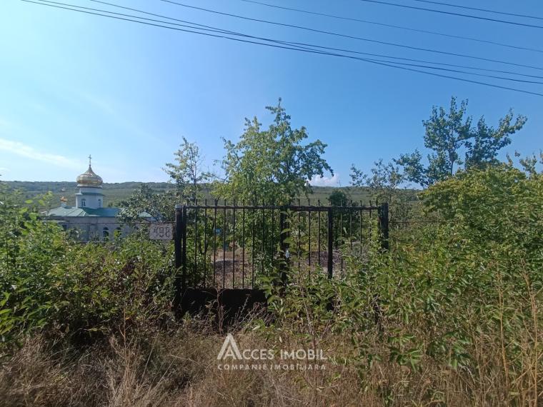 Teren grădină/pomicol 6 ari, IP Vierul, Codru, str. Sihastrului!: 1
