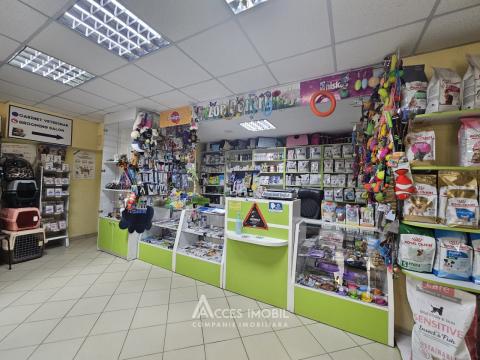 Spațiu comercial în bloc nou! Botanica, bd. Decebal, 129 m².: 8