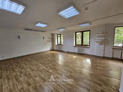 Chirie! Centru, str. Alexandr Pușkin, spațiu comercial 145m². Reparație Euro! Încălzire autonomă!: 3
