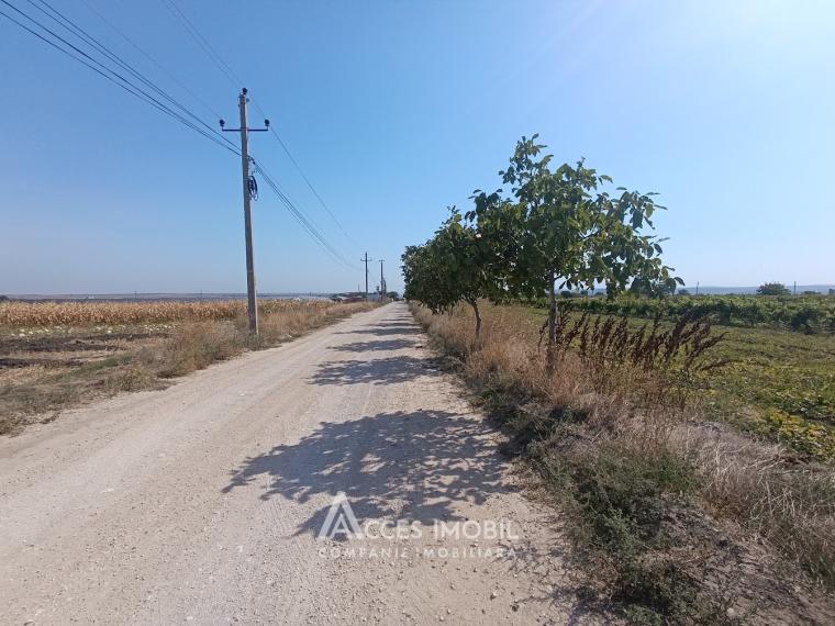 Teren pomicol 14 ari, Băcioi, str. L459!: 2