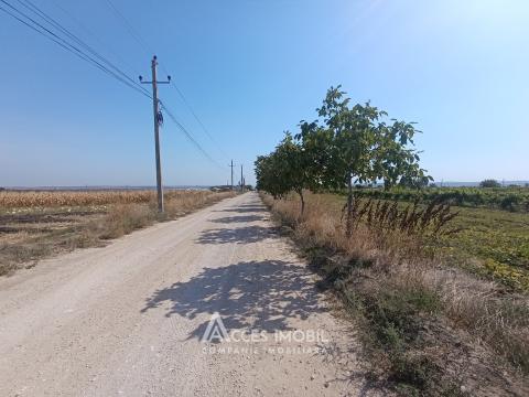 Teren pomicol 14 ari, Băcioi, str. L459!: 2