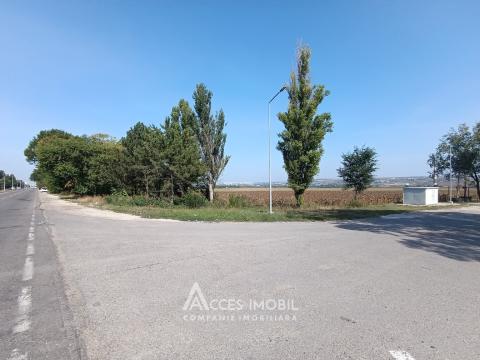 Teren comercial 154 ari! Băcioi, Bulevardul Dacia!: 1
