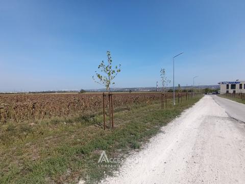Teren comercial 154 ari! Băcioi, Bulevardul Dacia!: 0
