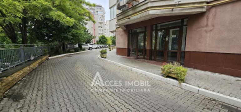 Аренда коммерческой недвижимости в Кишиневе: Рышкановка, ул. Богдан Воиевод
