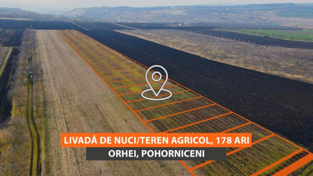 Livadă de nuci/Teren agricol 178 ari! Orhei, Pohorniceni!: 0