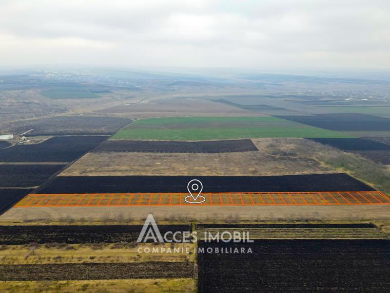 Livadă de nuci/Teren agricol 178 ari! Orhei, Pohorniceni!: 6