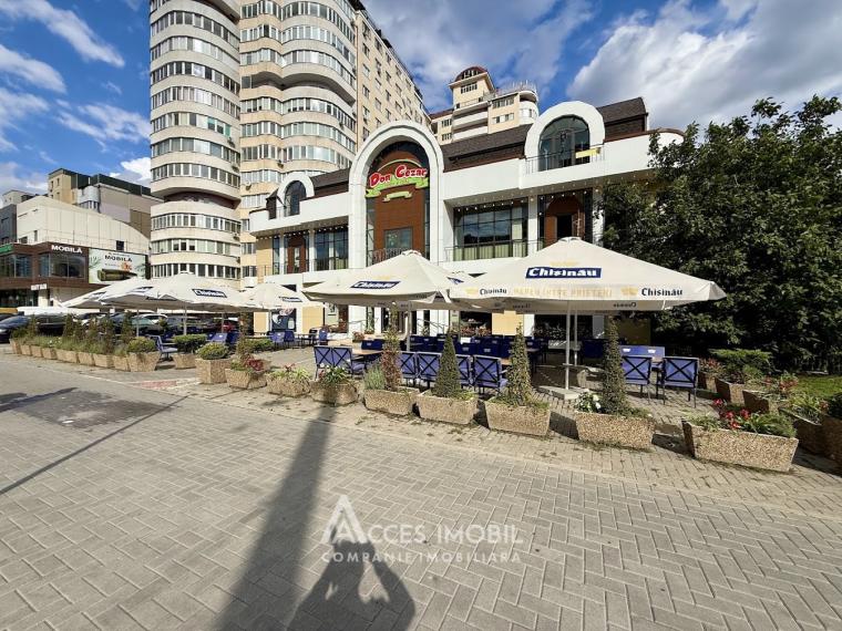Chirie spațiu comercial! Bloc Nou! Ciocana, str. Mircea cel Bătrân, 932 m². Reparație Euro!: 13