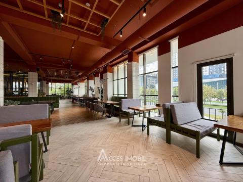 Chirie spațiu comercial! Bloc Nou! Ciocana, str. Mircea cel Bătrân, 932 m². Reparație Euro!: 1
