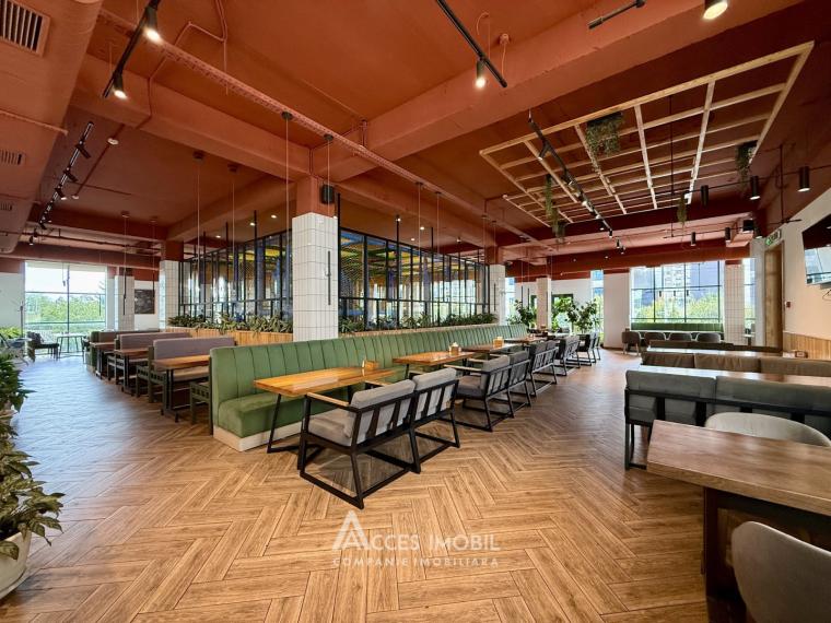 Chirie spațiu comercial! Bloc Nou! Ciocana, str. Mircea cel Bătrân, 932 m². Reparație Euro!: 5