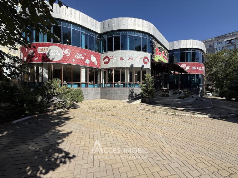 Chirie! Bloc Nou! Botanica, str. Independenței, spațiu comercial 940m². Reparație Euro!: 14
